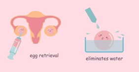 中国三代试管助孕机构有哪些呢(三代试管助孕技术的优势有哪些?)