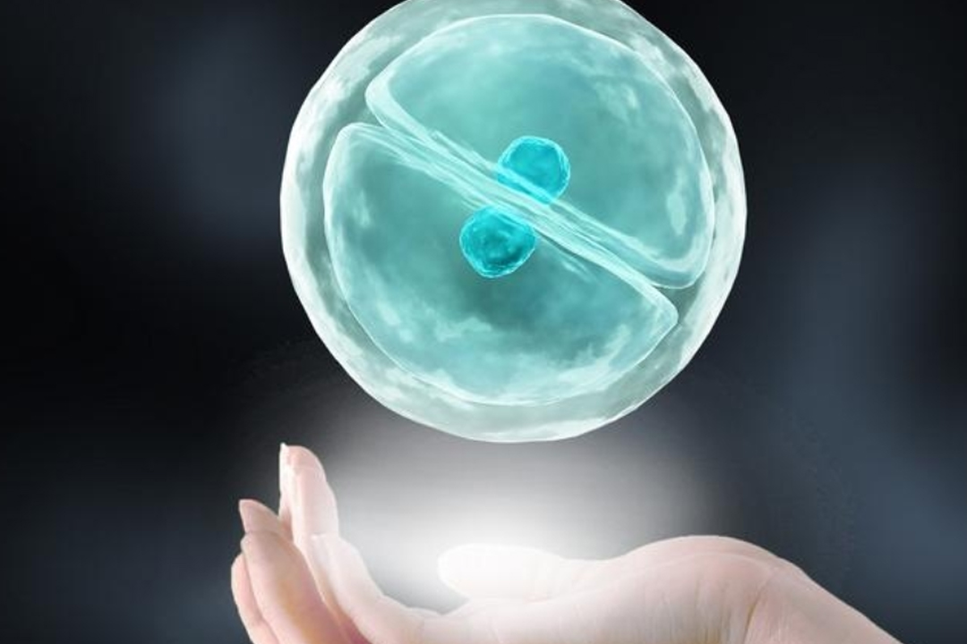 中国试管怀孕合法吗(中国试管怀孕政策最新解读)