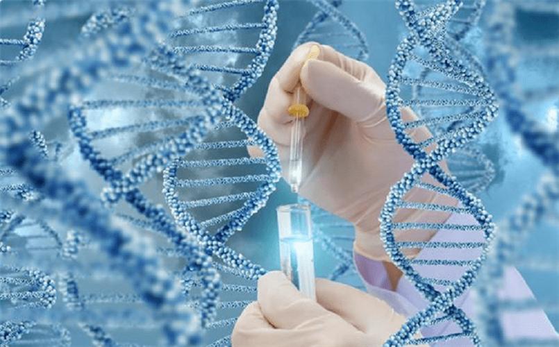 中国哪家三甲医院里面可以做试管怀孕(北京大学第三医院试管流程)