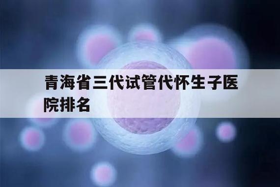 国内外资试管代怀机构【国内外资试管代怀机构盘点】