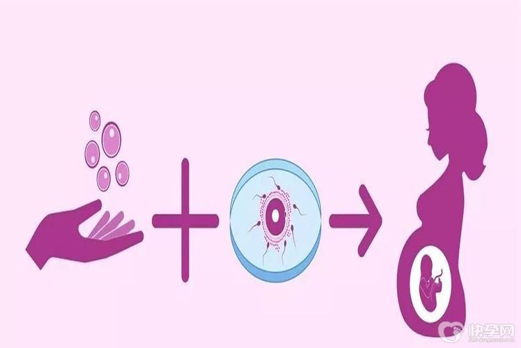 国内供卵试管婴儿合法吗(国内供卵试管婴儿合法吗？详解国内供卵试管婴儿法律规定)