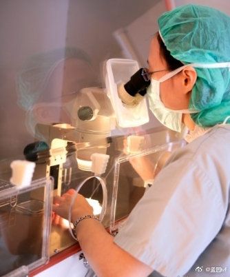 国内同性恋试管代怀可以去做试管婴儿吗【国内同性恋试管代怀可以做试管婴儿吗？】