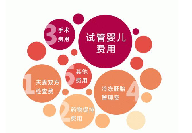 国内试管代怀服务(国内试管代怀服务全面解读)