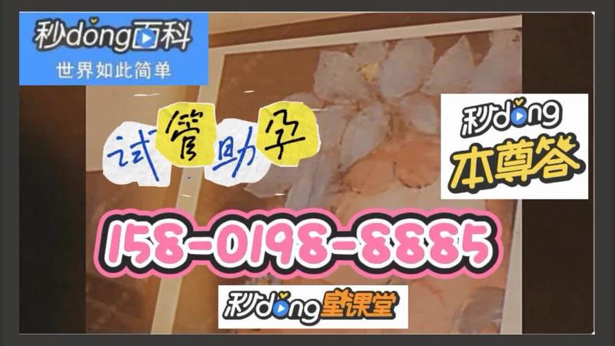 国内供卵试管代怀服务_国内供卵试管代怀服务中心