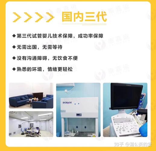 国内知名的试管代怀服务(国内知名试管代怀服务中心)